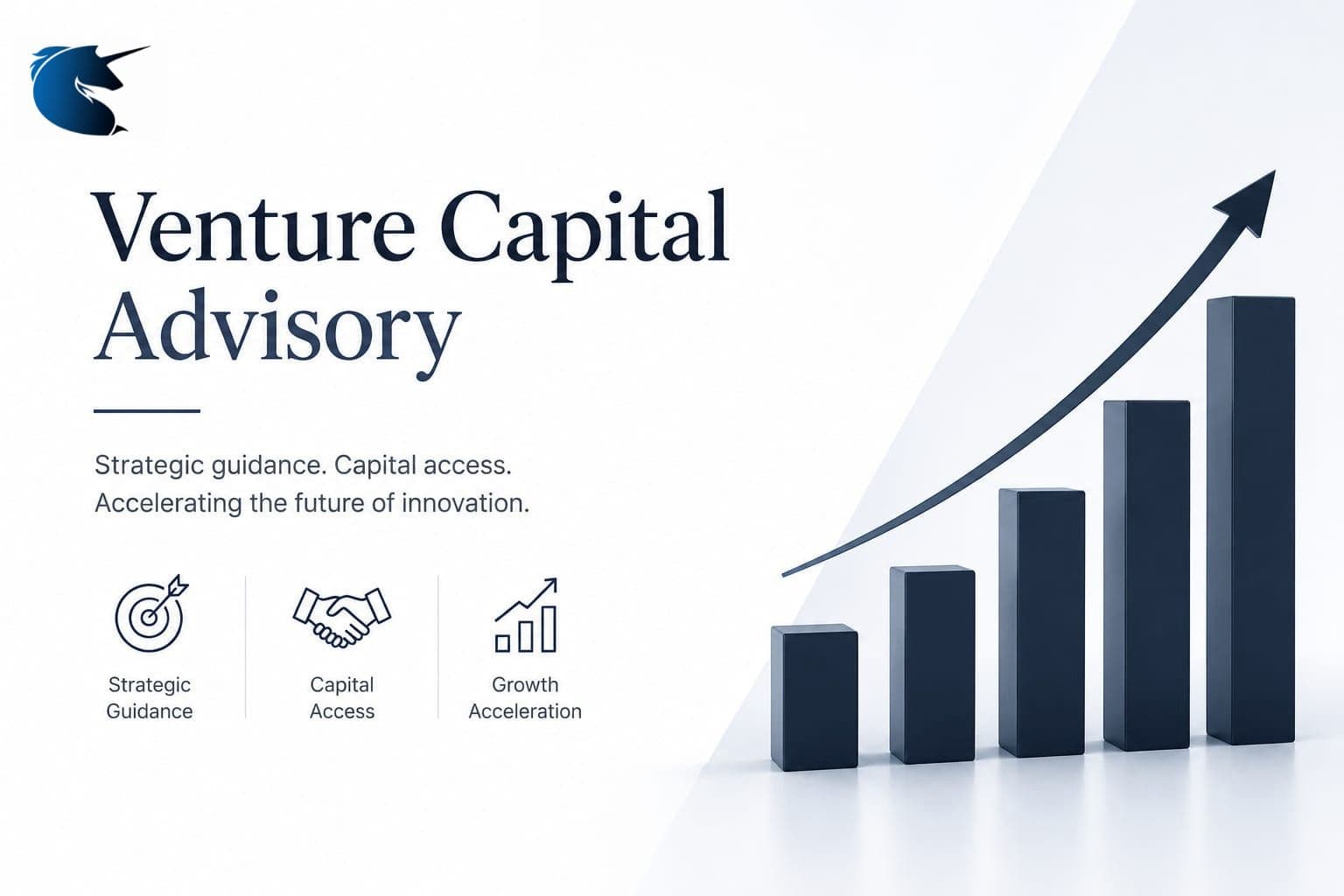 Venture Capital Advisory