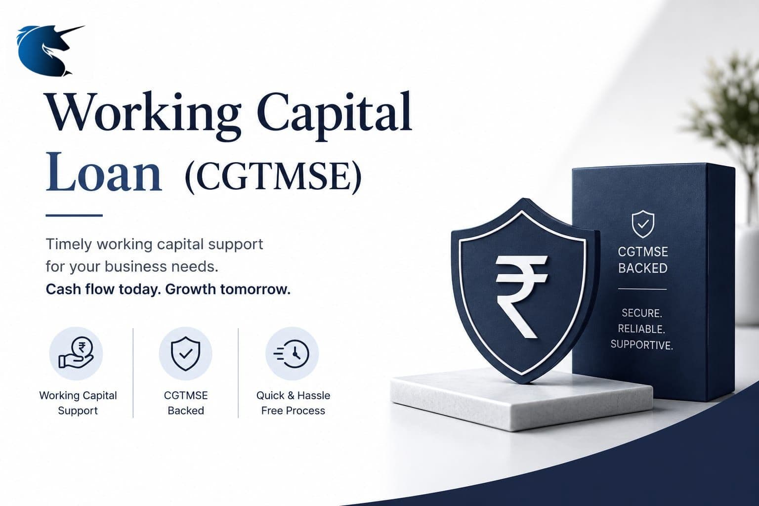 Working Capital Loan (CGTMSE)