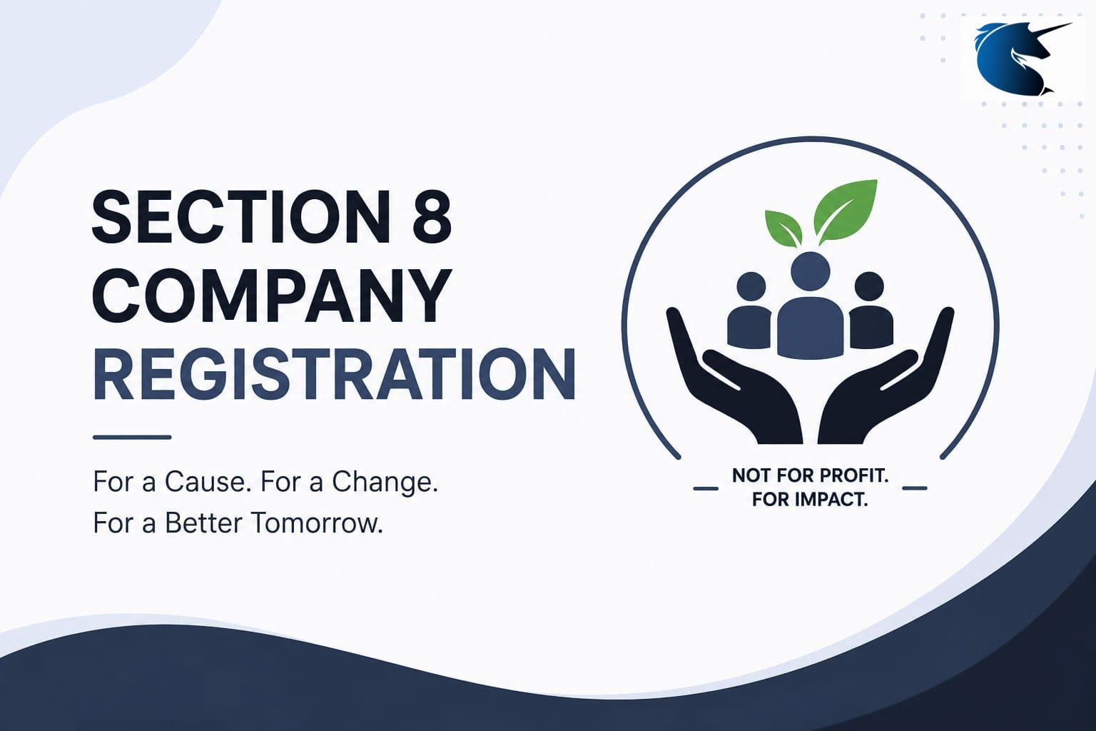 Section 8 Company Registration